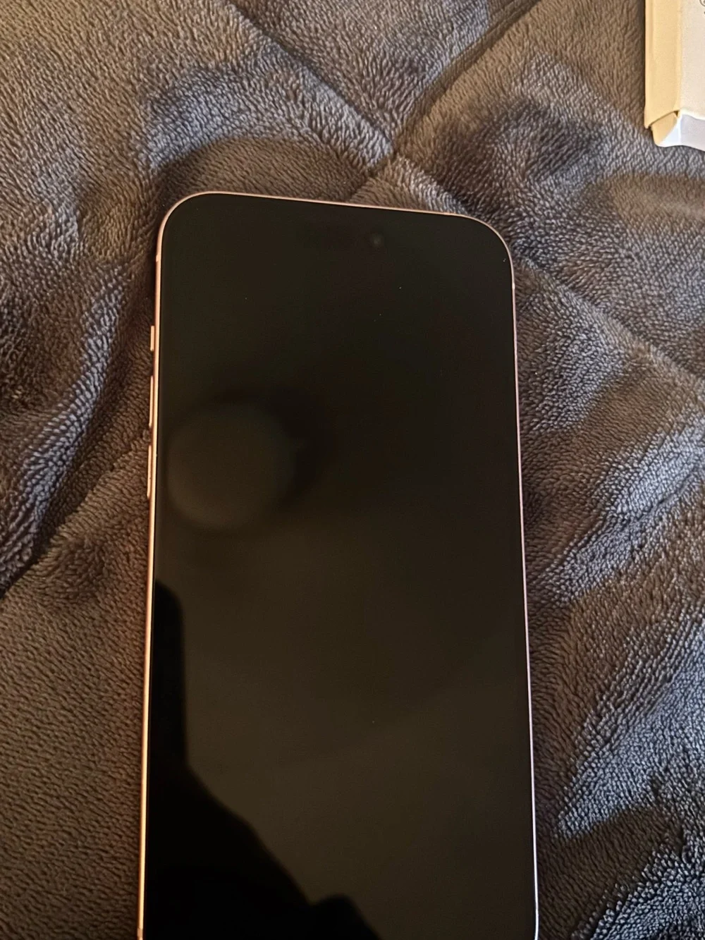 Apple iPhone Pink Dual-Camera Back